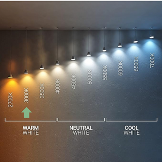 Spiegel ovaal met LED verlichting, spiegelverwarming en sensor 45x90cm