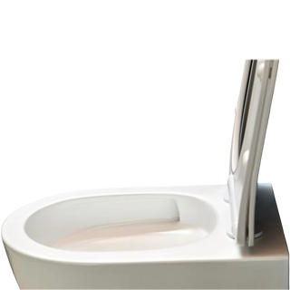 Wandcloset Spinflush - Rimfree normaal 53cm incl. zitting softclose