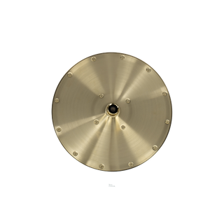 Douchekop 25cm - Brushed champagne gold PVD